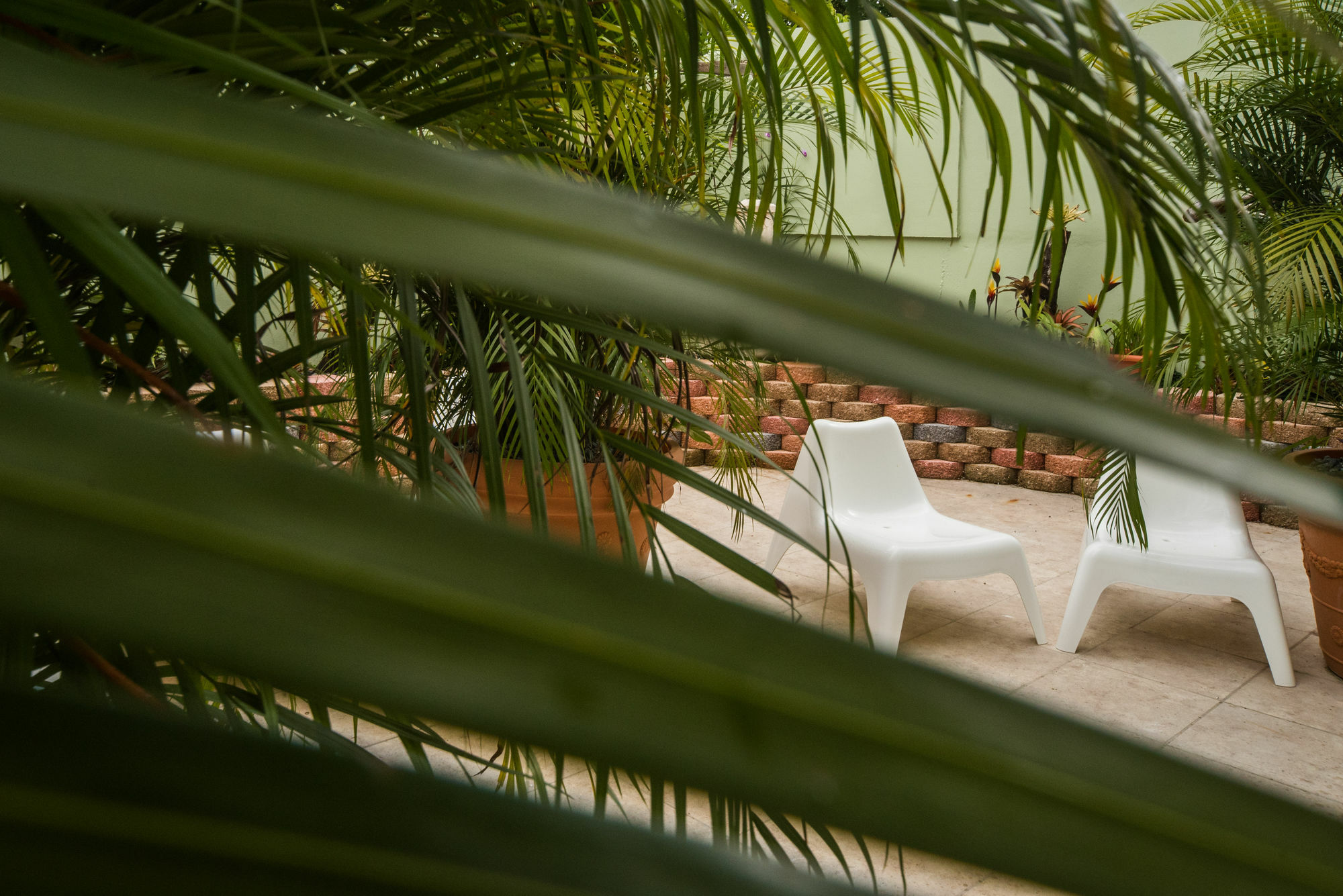 Rincon Plaza Hotel מראה חיצוני תמונה